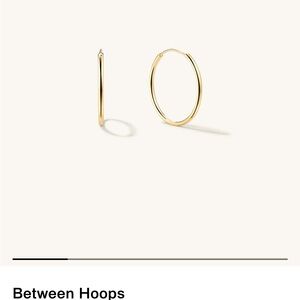 Gold Hoop Earrings
